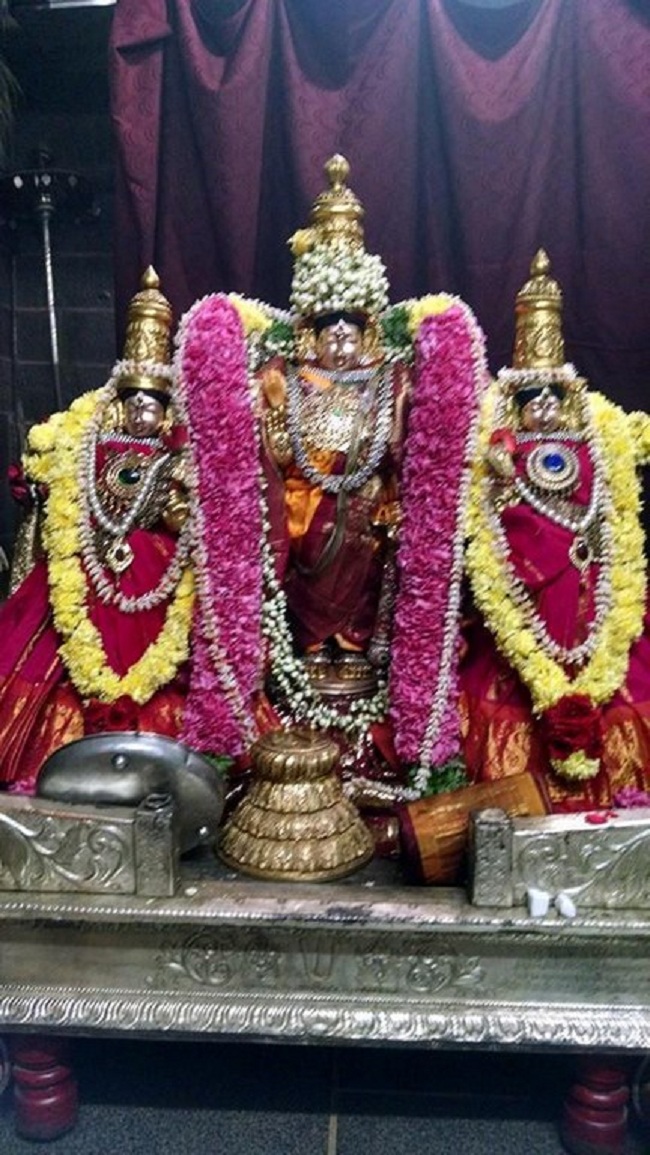 Thiruvahindrapuram Sri Devanathan Perumal Temple Oonjal Utsavam 1