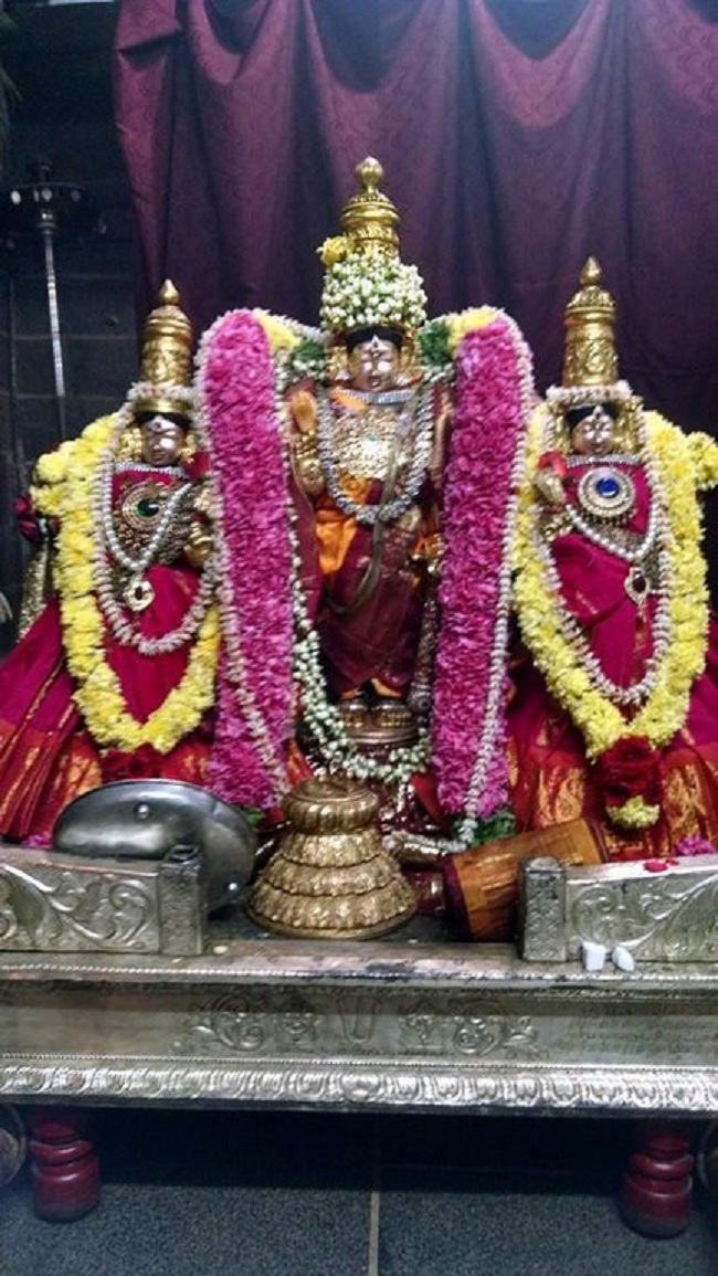 Thiruvahindrapuram Sri Devanathan Perumal Temple Oonjal Utsavam 3