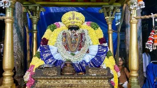 Thiruvahindrapuram Sri Devanathan Perumal Temple Oonjal Utsavam 4