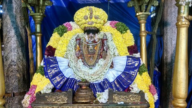 Thiruvahindrapuram Sri Devanathan Perumal Temple Oonjal Utsavam 5