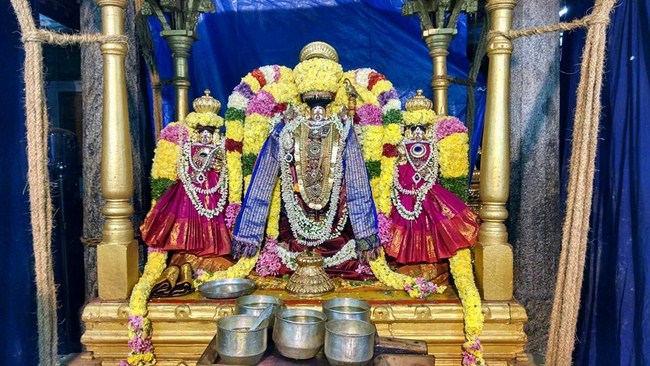 Thiruvahindrapuram Sri Devanathan Perumal Temple Oonjal Utsavam Commences4