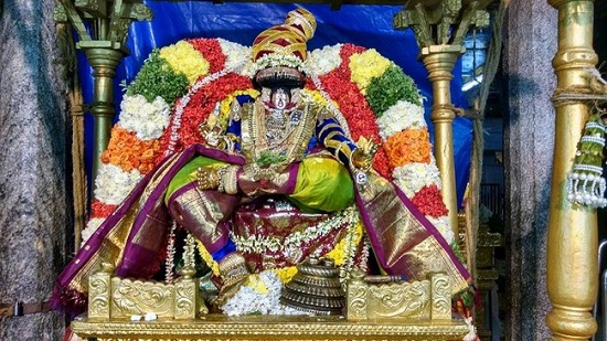 Thiruvahindrapuram Sri Devanathan Perumal Temple Oonjal Utsavam Concludes3
