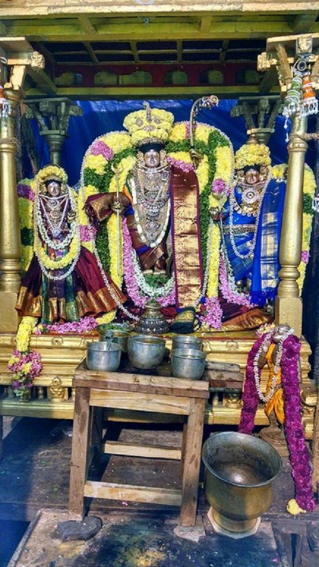 Thiruvahindrapuram Sri Devanathan Perumal Temple Oonjal Utsavam1