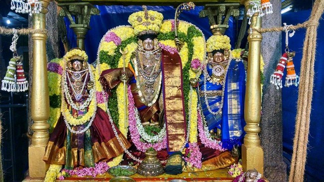 Thiruvahindrapuram Sri Devanathan Perumal Temple Oonjal Utsavam2