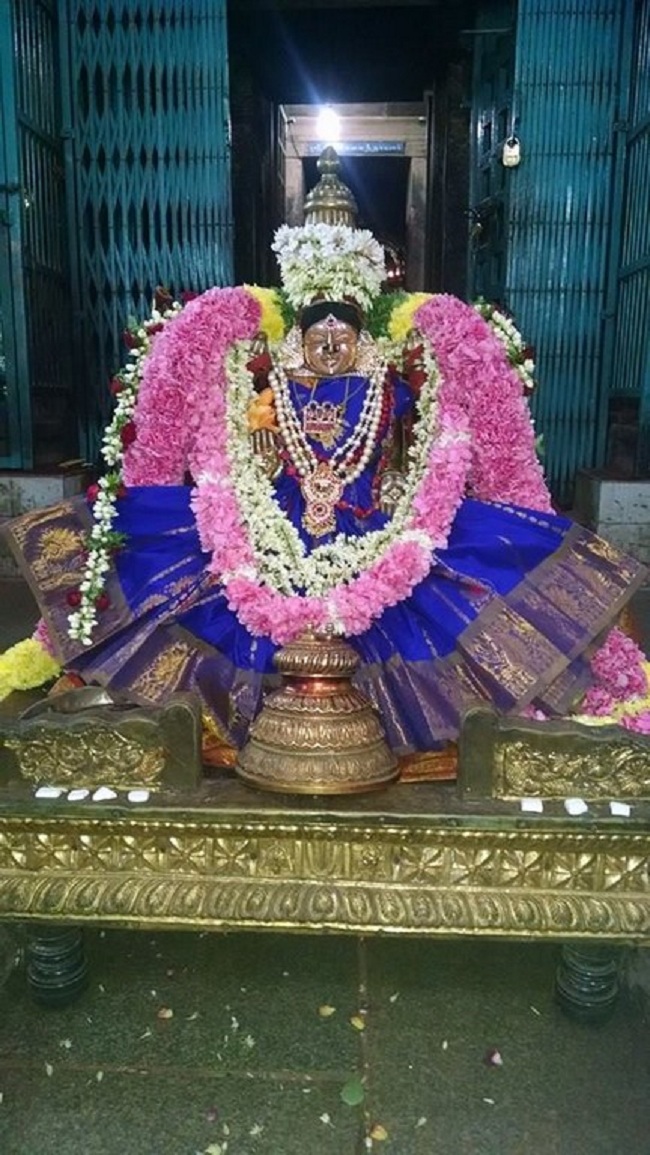 Thiruvahindrapuram Sri Devanathan Perumal Temple Oonjal Utsavam3