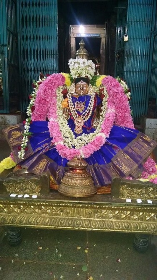 Thiruvahindrapuram Sri Devanathan Perumal Temple Oonjal Utsavam5