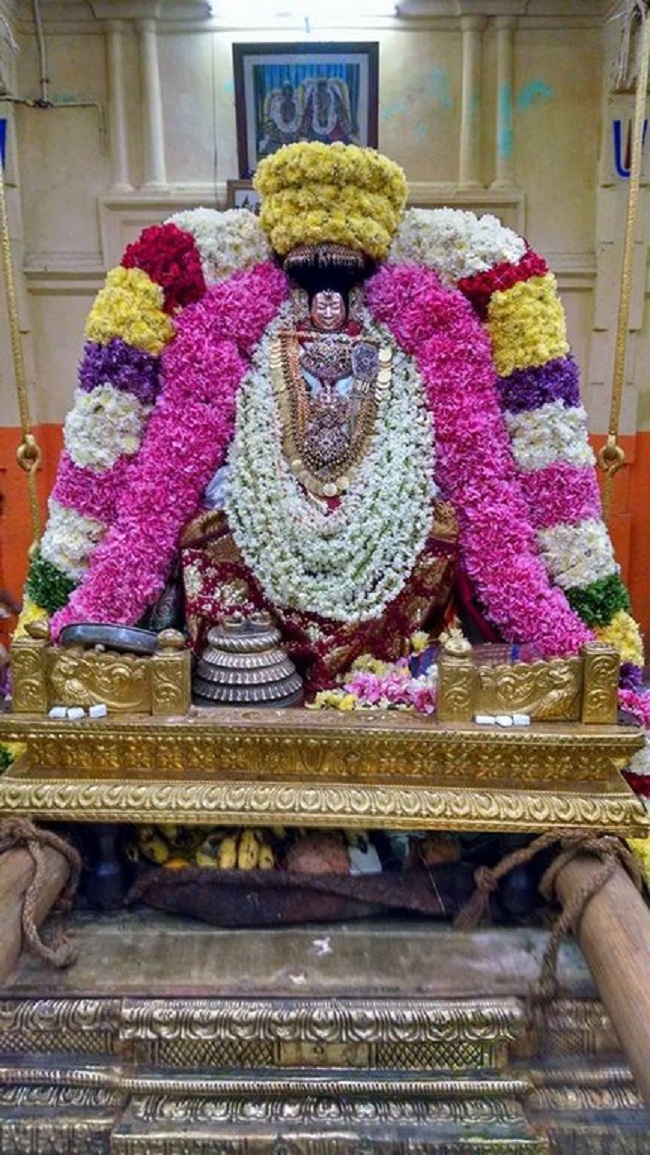 Thiruvahindrapuram Sri Devanathan Perumal Temple Sravana Purappadu1
