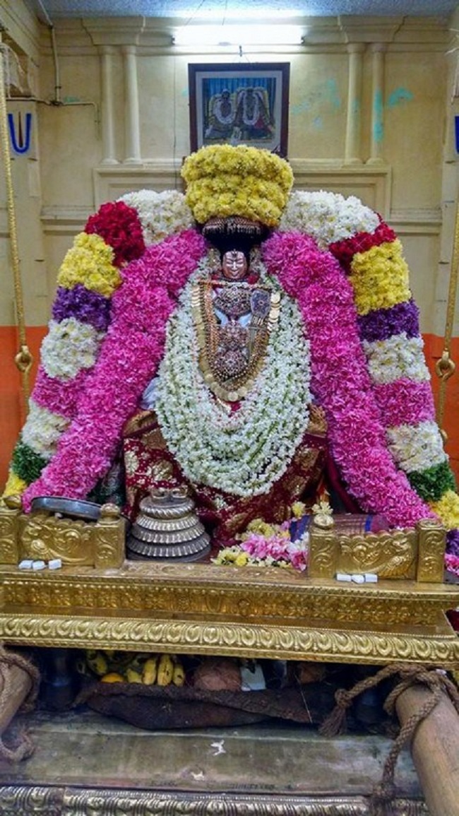 Thiruvahindrapuram Sri Devanathan Perumal Temple Sravana Purappadu3