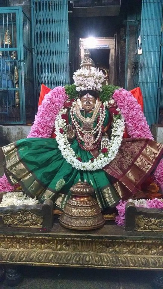 Thiruvahindrapuram Sri Hemabujavalli Thayar Vellikizhamai Purappadu1