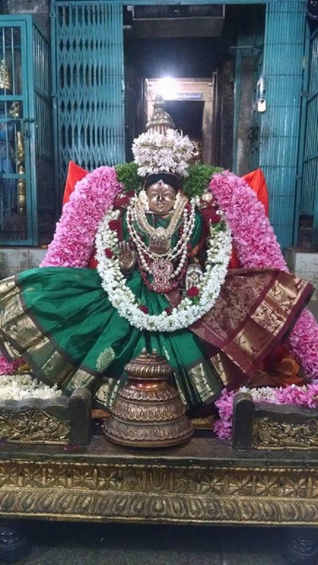 Thiruvahindrapuram Sri Hemabujavalli Thayar Vellikizhamai Purappadu2