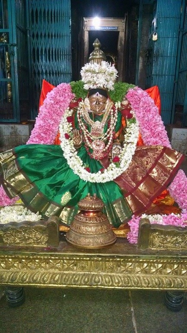 Thiruvahindrapuram Sri Hemabujavalli Thayar Vellikizhamai Purappadu3