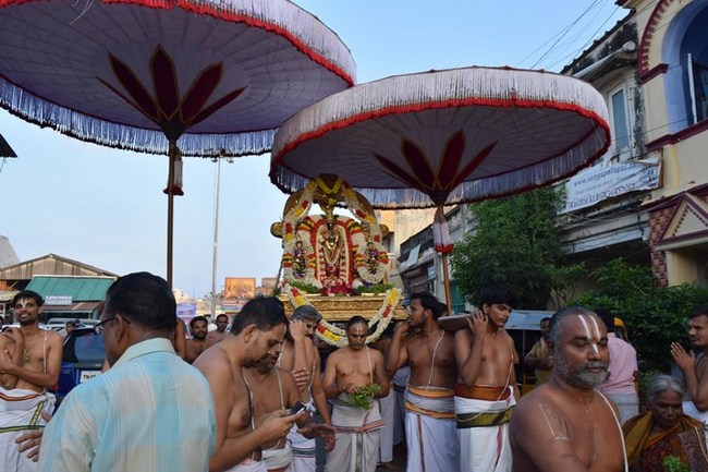 Thiruvallikeni Sri Parthasarathy Perumal Temple Ammavasai Purappadu10