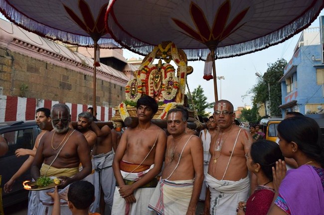 Thiruvallikeni Sri Parthasarathy Perumal Temple Ammavasai Purappadu11