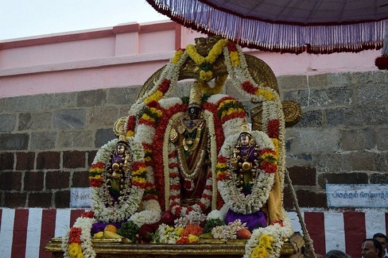 Thiruvallikeni Sri Parthasarathy Perumal Temple Ammavasai Purappadu12
