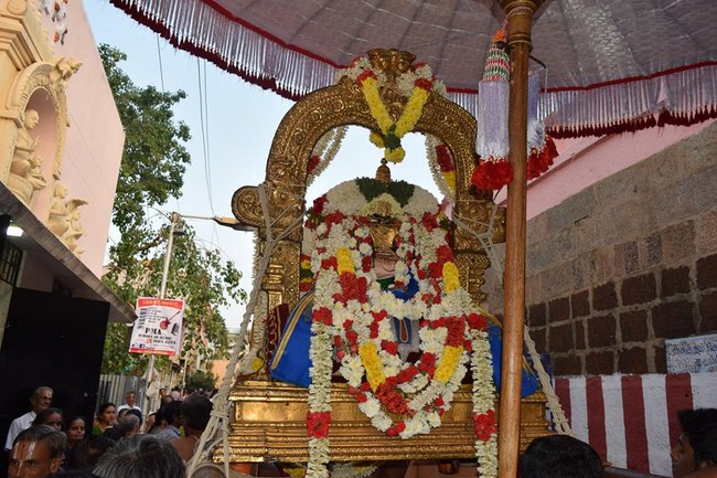 Thiruvallikeni Sri Parthasarathy Perumal Temple Ammavasai Purappadu2