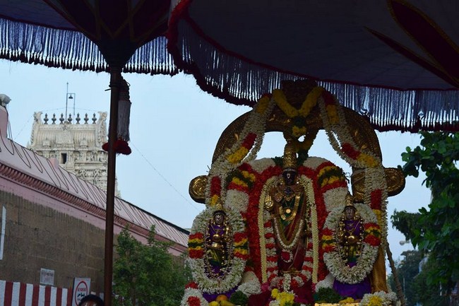 Thiruvallikeni Sri Parthasarathy Perumal Temple Ammavasai Purappadu9