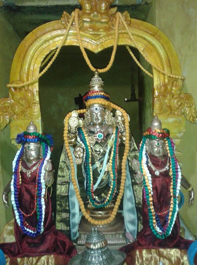 Thiruvallur  Sri Prasanna Venkatesa Perumal Temple Pavithrotsavam day 1 2014 10