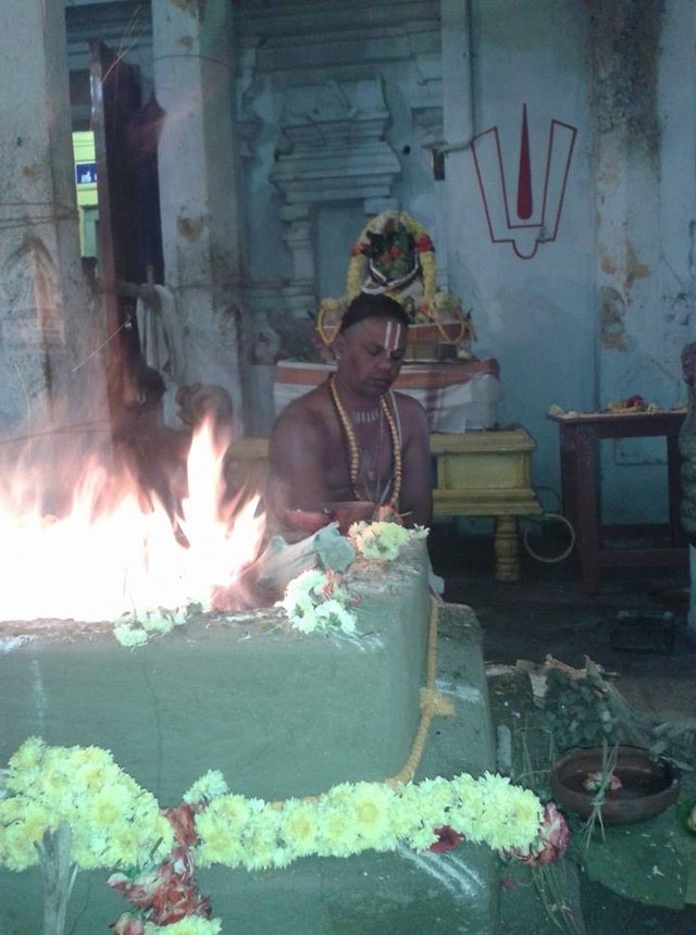 Thiruvallur  Sri Prasanna Venkatesa Perumal Temple Pavithrotsavam day 2 2014 11