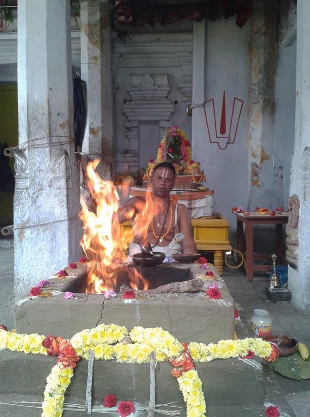 Thiruvallur  Sri Prasanna Venkatesa Perumal Temple Pavithrotsavam day 2 2014 14