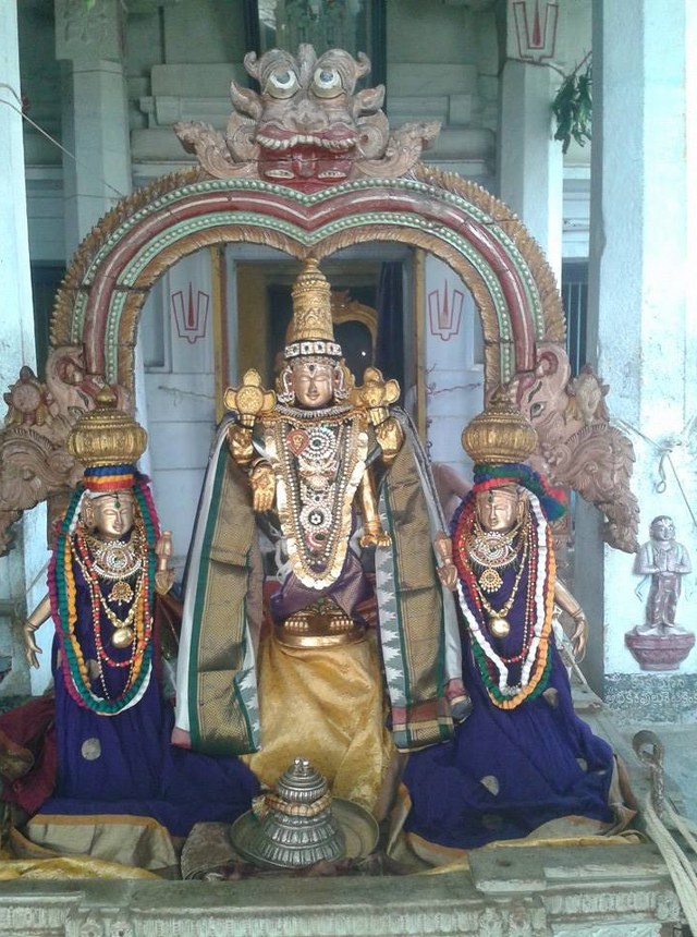 Thiruvallur  Sri Prasanna Venkatesa Perumal Temple Pavithrotsavam day 3 2014 01