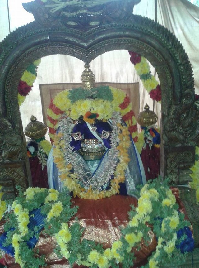 Thiruvallur  Sri Prasanna Venkatesa Perumal Temple Pavithrotsavam day 3 2014 09