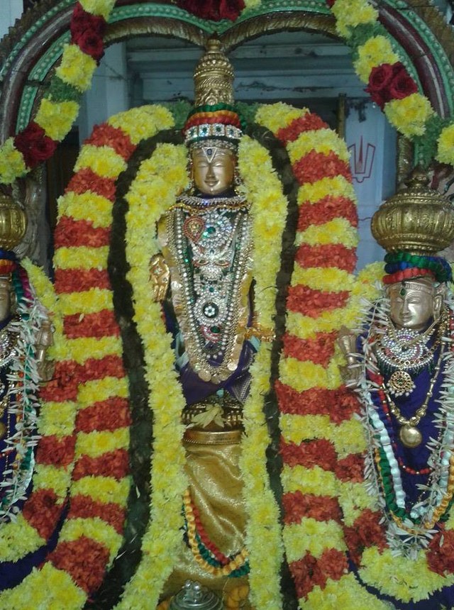 Thiruvallur  Sri Prasanna Venkatesa Perumal Temple Pavithrotsavam day 3 2014 20
