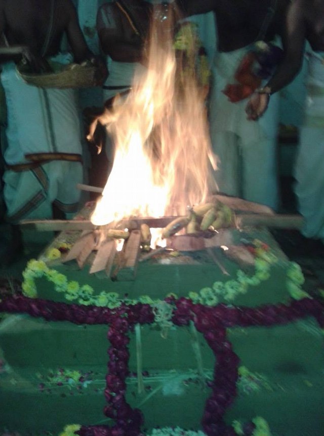 Thiruvallur  Sri Prasanna Venkatesa Perumal Temple Pavithrotsavam day 3 2014 22