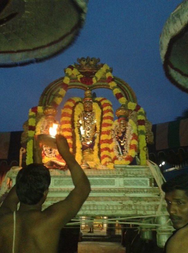 Thiruvallur  Sri Prasanna Venkatesa Perumal Temple Pavithrotsavam day 3 2014 24
