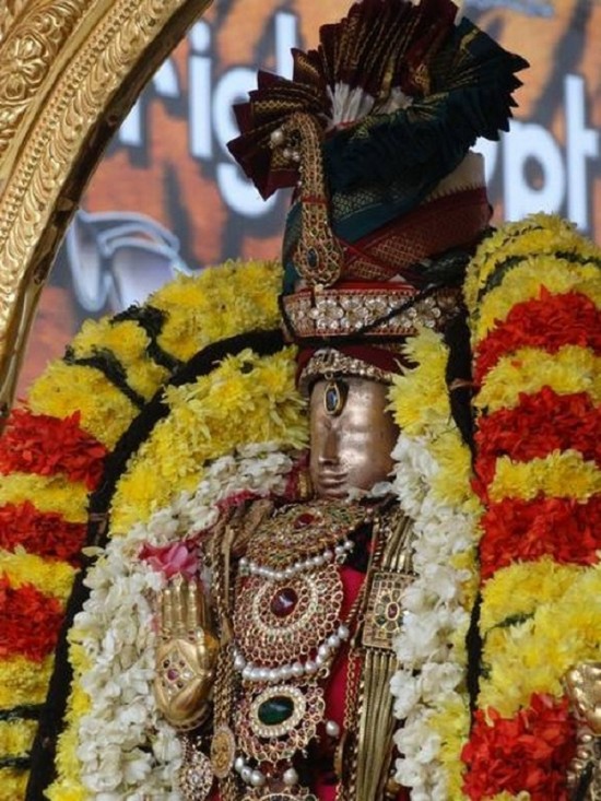 Thiruvallur Sri Veeraraghava Perumal Temple Vanabhojana Utsavam15