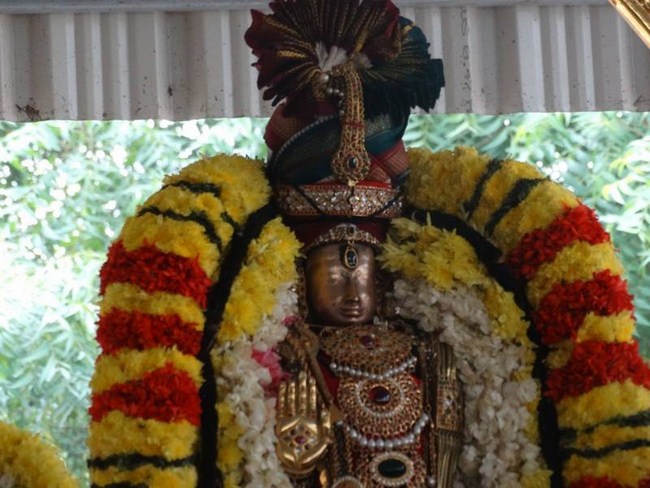 Thiruvallur Sri Veeraraghava Perumal Temple Vanabhojana Utsavam18