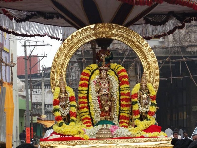 Thiruvallur Sri Veeraraghava Perumal Temple Vanabhojana Utsavam21