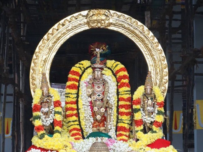 Thiruvallur Sri Veeraraghava Perumal Temple Vanabhojana Utsavam3