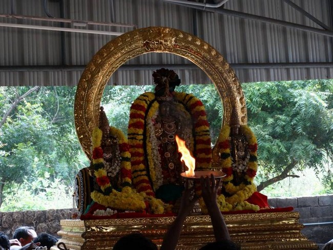 Thiruvallur Sri Veeraraghava Perumal Temple Vanabhojana Utsavam32