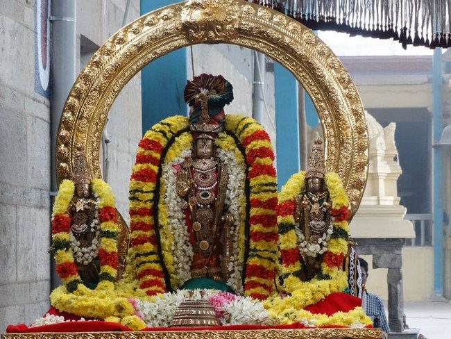Thiruvallur Sri Veeraraghava Perumal Temple Vanabhojana Utsavam36