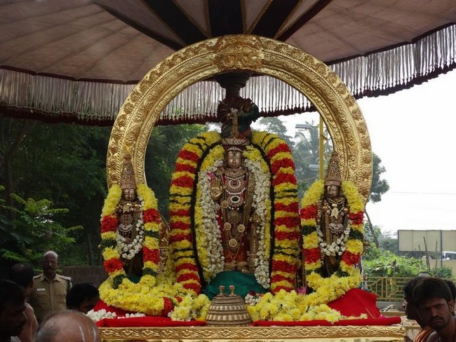 Thiruvallur Sri Veeraraghava Perumal Temple Vanabhojana Utsavam40