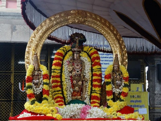 Thiruvallur Sri Veeraraghava Perumal Temple Vanabhojana Utsavam44