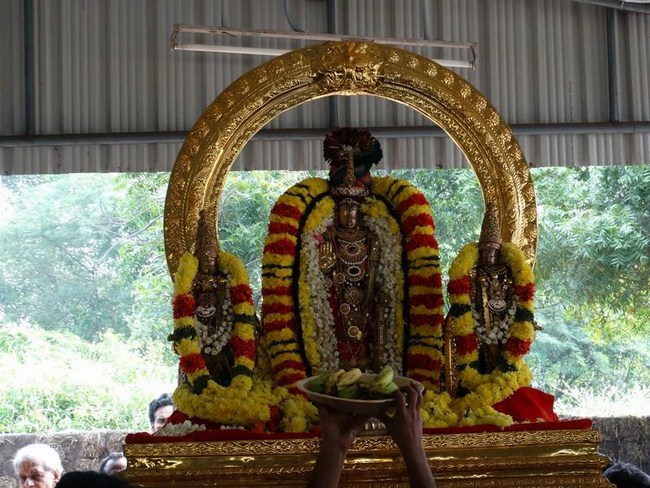 Thiruvallur Sri Veeraraghava Perumal Temple Vanabhojana Utsavam7