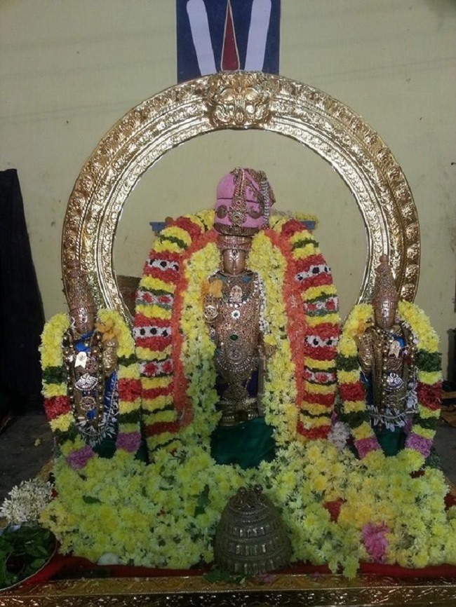 Thiruvallur Sri Veeraraghava Perumal Temple Vanabhojana Utsavam83