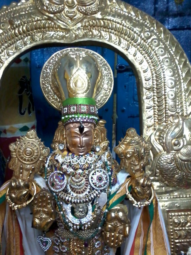 Thiruvelukkai Poigai Azhwar Mangalasanam 2014 04