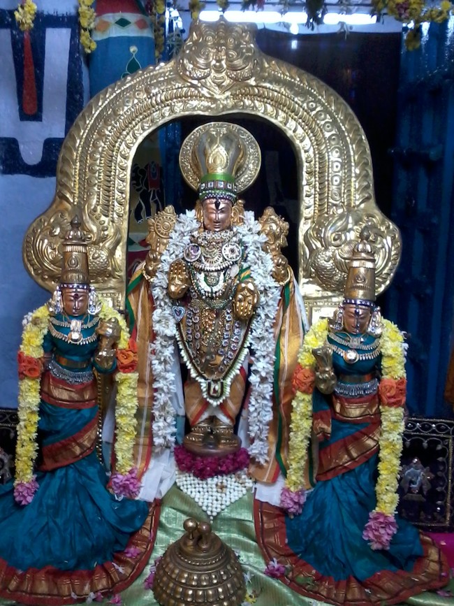 Thiruvelukkai Poigai Azhwar Mangalasanam 2014 16