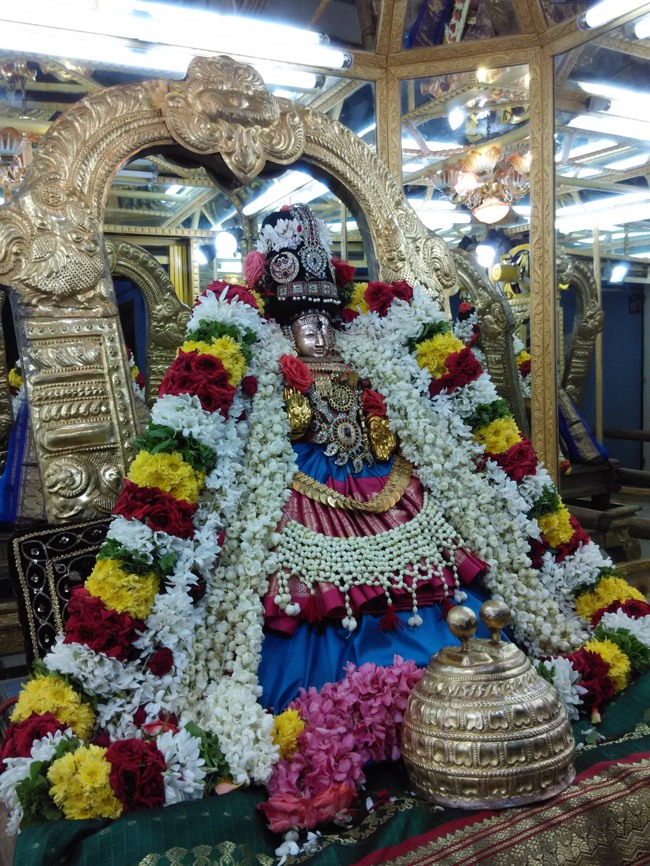 Thiruvelukkai Sri Amruthavalli Thayar Kadai Thula sukravara Utsavam 2014-00