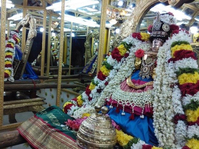 Thiruvelukkai Sri Amruthavalli Thayar Kadai Thula sukravara Utsavam 2014-01