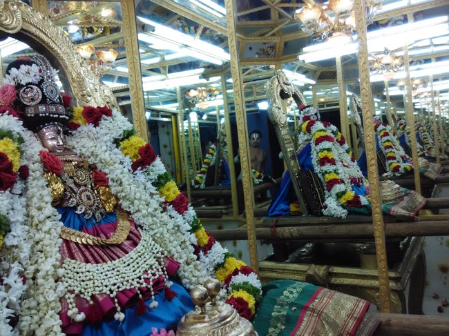 Thiruvelukkai Sri Amruthavalli Thayar Kadai Thula sukravara Utsavam 2014-02