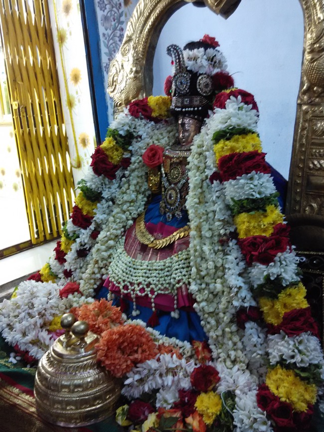 Thiruvelukkai Sri Amruthavalli Thayar Kadai Thula sukravara Utsavam 2014-14