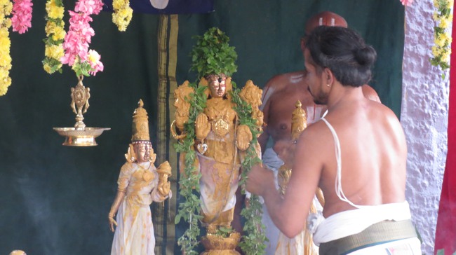 Thiruvelukkai Sri Azhagiyasingaperumal Temple Jaya Varusha Vanbhojana Utsavam 2014-02