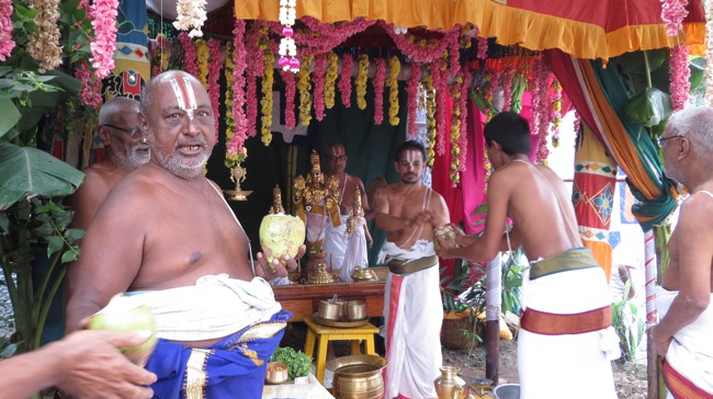 Thiruvelukkai Sri Azhagiyasingaperumal Temple Jaya Varusha Vanbhojana Utsavam 2014-08