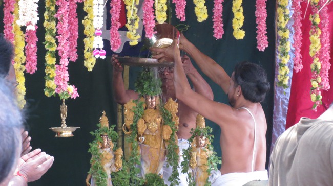 Thiruvelukkai Sri Azhagiyasingaperumal Temple Jaya Varusha Vanbhojana Utsavam 2014-14