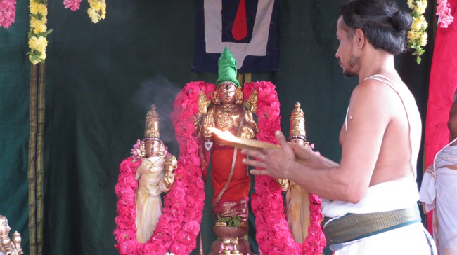 Thiruvelukkai Sri Azhagiyasingaperumal Temple Jaya Varusha Vanbhojana Utsavam 2014-16