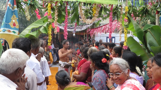 Thiruvelukkai Sri Azhagiyasingaperumal Temple Jaya Varusha Vanbhojana Utsavam 2014-19