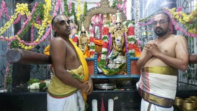 Thiruvinnagar Sri Oppilliappan Venkatachalapathi Temple Aippasi Sravanam Thirukalyana Utsavam10